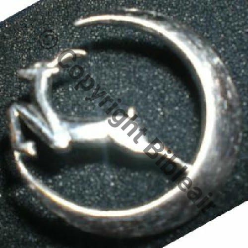 45 NH GLA.45 BOUFARIK  DrP  Attac PINS  Src.13rdp 25EurInv 